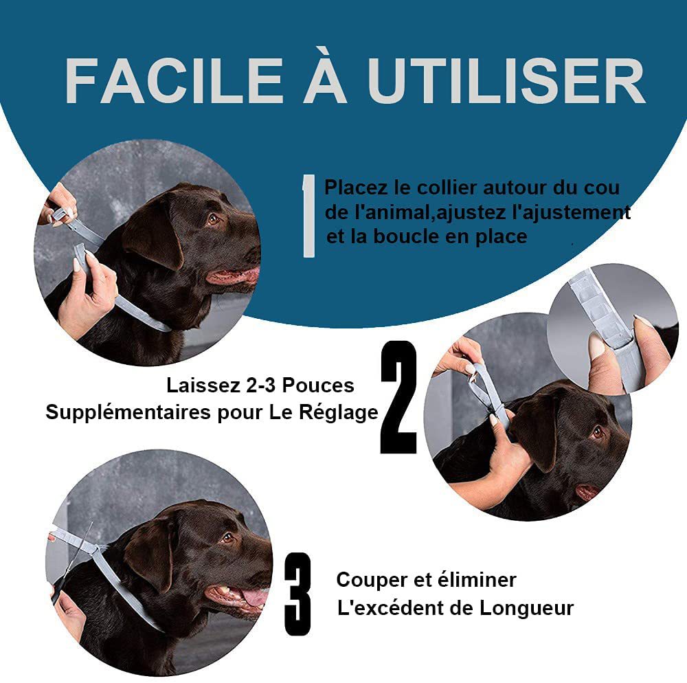 Adjustable Outdoor Flea & Tick Pet Collar – Durable, Comfortable for Dogs & Cats