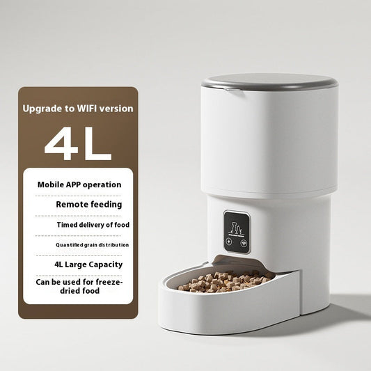 5 Reasons Every Pet Owner Needs an Automatic Feeder (Guide for New York City)
