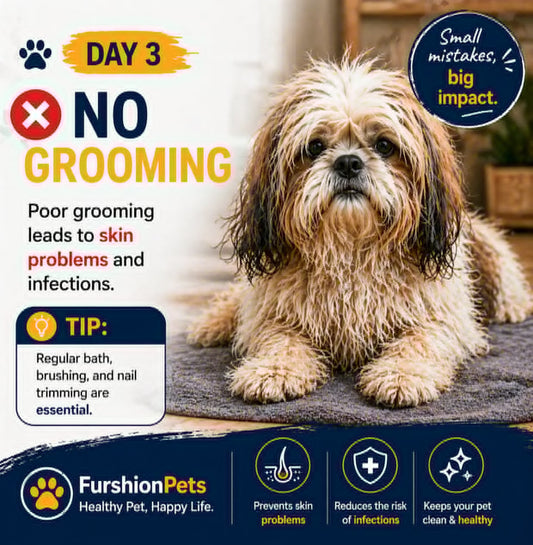 No Grooming = Big Problems: Why Pet Grooming Is a Health Issue, Not Just a Beauty One — Tips for Dog Owners in Seattle, Miami & San Antonio