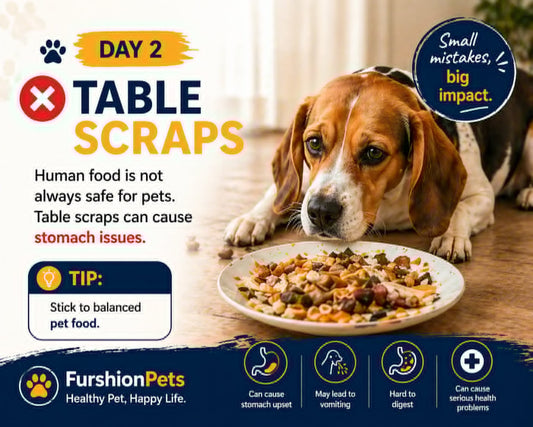 Table Scraps & Your Dog: Why "Just a Little Bite" Can Cause Big Problems — A Guide for Pet Owners in Austin, Denver & Beyond
