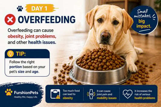 Overfeeding Your Dog: The #1 Pet Parenting Mistake Costing Dogs in Los Angeles, Houston & Chicago Their Health