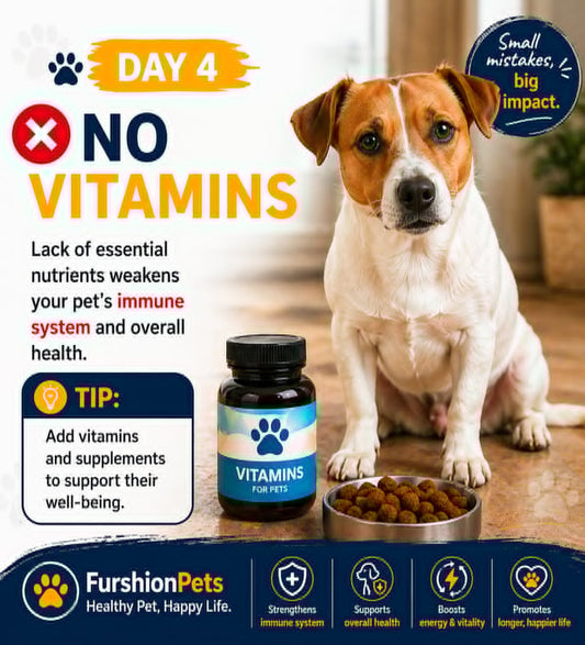Is Your Dog Missing Vital Nutrients? The Truth About Pet Vitamins — What Dog Owners in New York, Phoenix & San Diego Need to Know