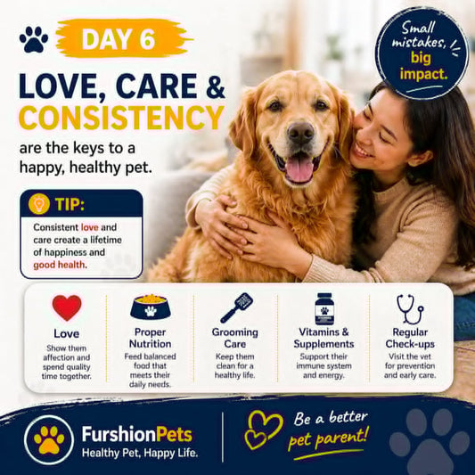 Love, Care & Consistency: The Five Pillars of Raising a Happy, Healthy Dog — The Final Word for Pet Parents in Dallas, Atlanta & Minneapolis