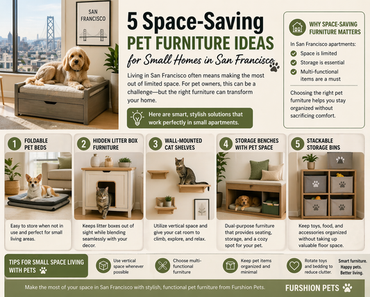 5 Space-Saving Pet Furniture Ideas for Small Homes in San Francisco
