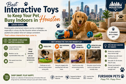 Best Interactive Toys to Keep Your Pet Busy Indoors in Houston