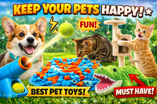 Keep Your Pets Active & Happy: The Power of Interactive Toys