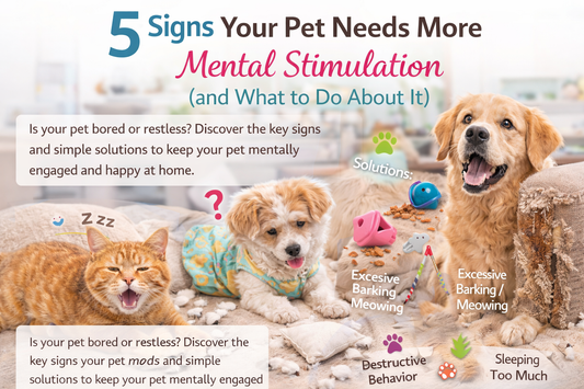 5 Signs Your Pet Needs More Mental Stimulation (and What to Do About It)