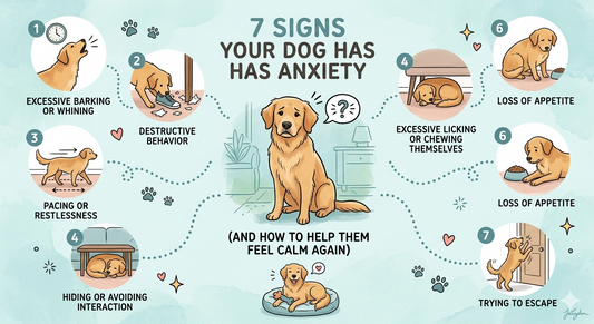 7 Signs Your Dog Has Anxiety (And How to Help Them Feel Calm Again)