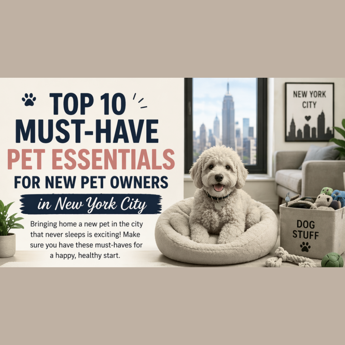 Top 10 Must-Have Pet Essentials for New Pet Owners in New York City