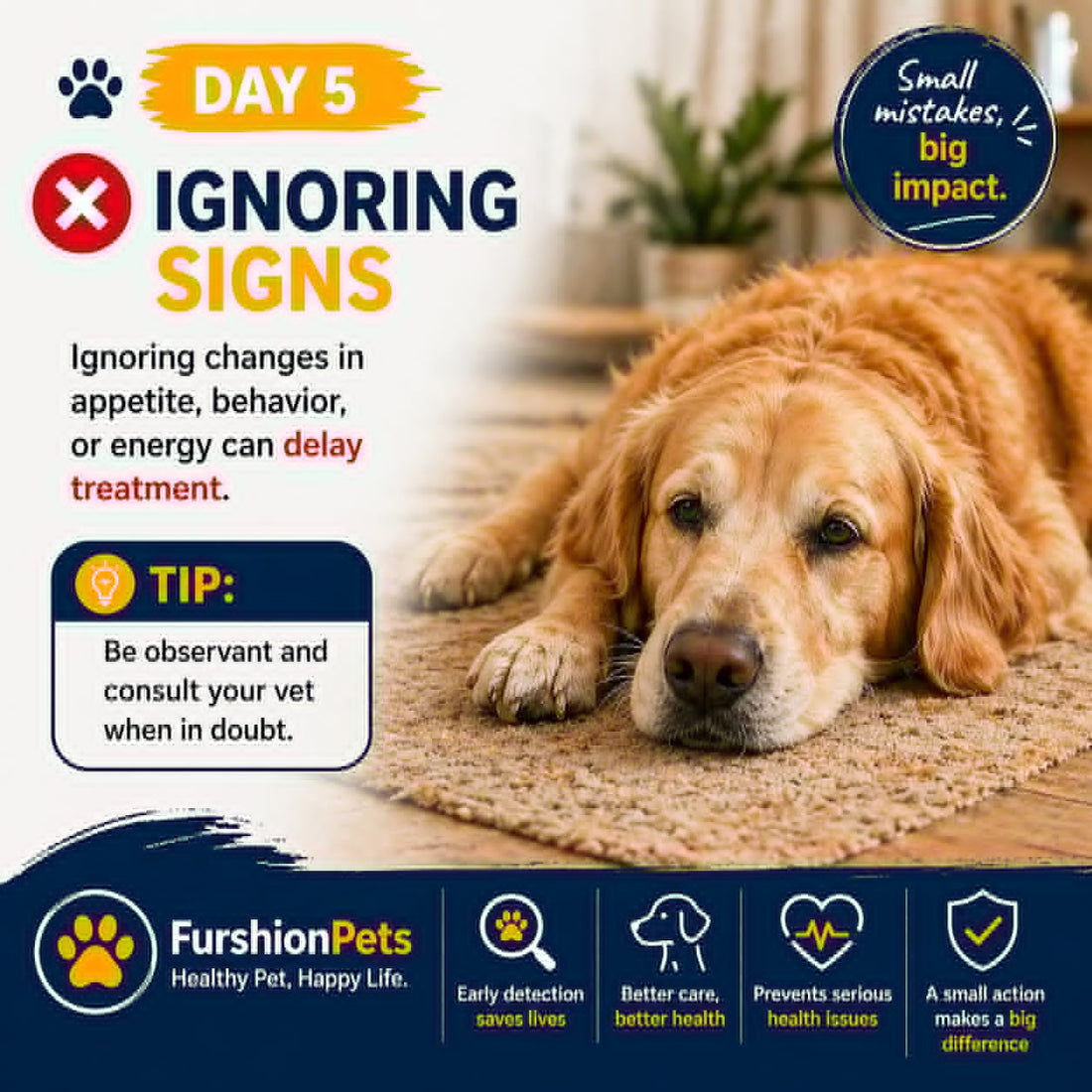 Is Your Dog Trying to Tell You Something? The Danger of Ignoring Signs of Illness — A Guide for Pet Owners in Boston, Nashville & Portland