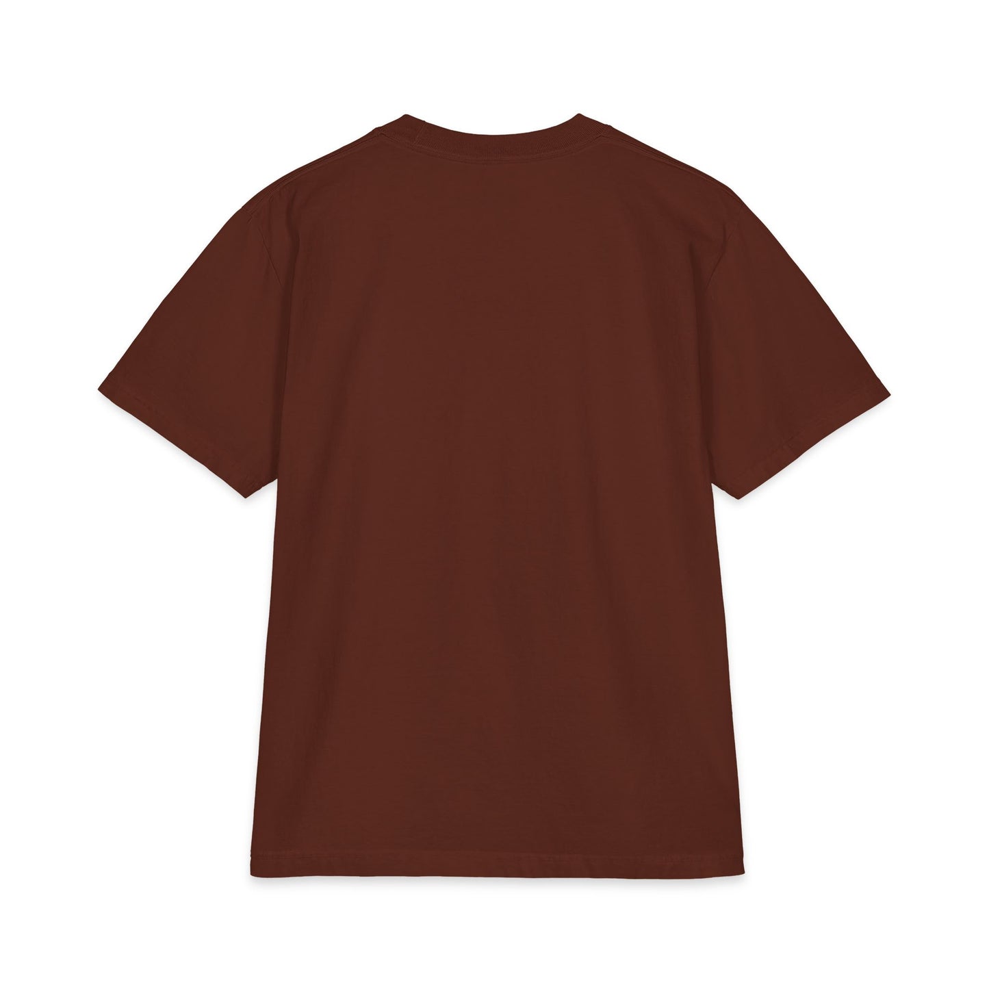 Maine Coon Portrait T‑Shirt — Realistic Cat Face Graphic Tee