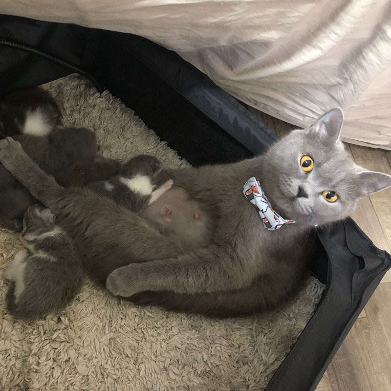 Dog Collar with Bow Tie – Adjustable Formal Pet Collar