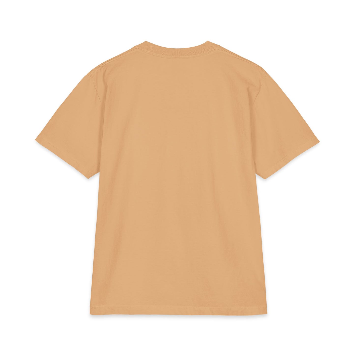 Maine Coon Portrait T‑Shirt — Realistic Cat Face Graphic Tee