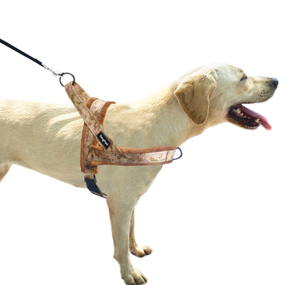 Adjustable Dog Chest Harness with Leash – Soft Lined Vest