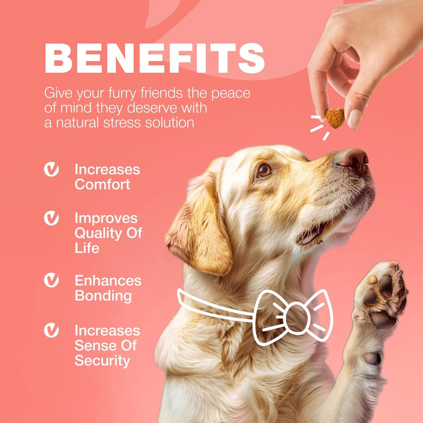 Dog Wellness Chews – Herbal Soft Treats for Flea, Tick & Immune Support