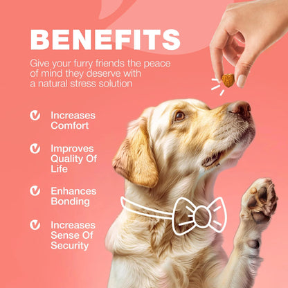 Dog Wellness Chews – Herbal Soft Treats for Flea, Tick & Immune Support