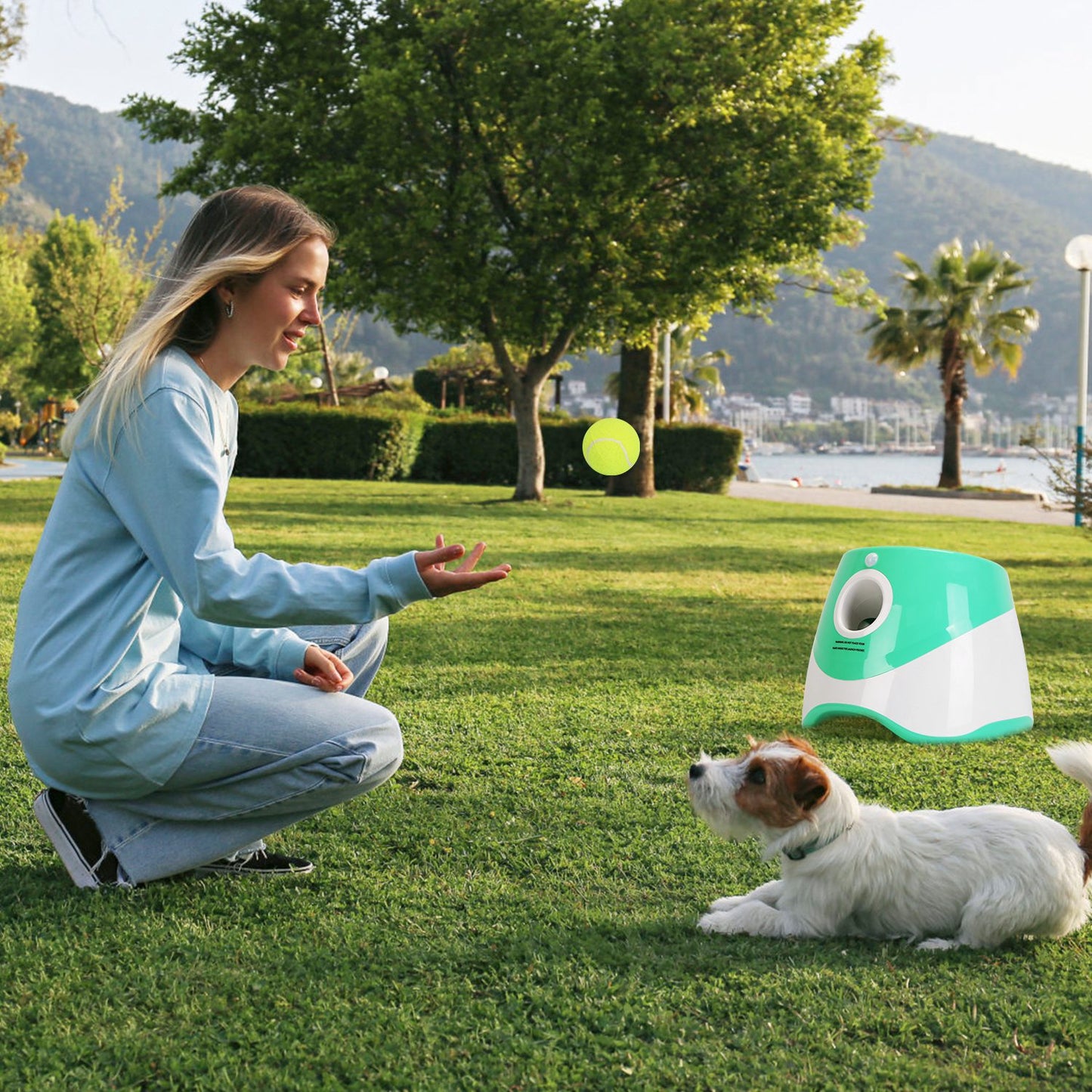 Automatic Dog Ball Launcher with 6 Tennis Balls – Rechargeable Interactive Fetch Machine with 3 Distance Settings for Small & Medium Dogs