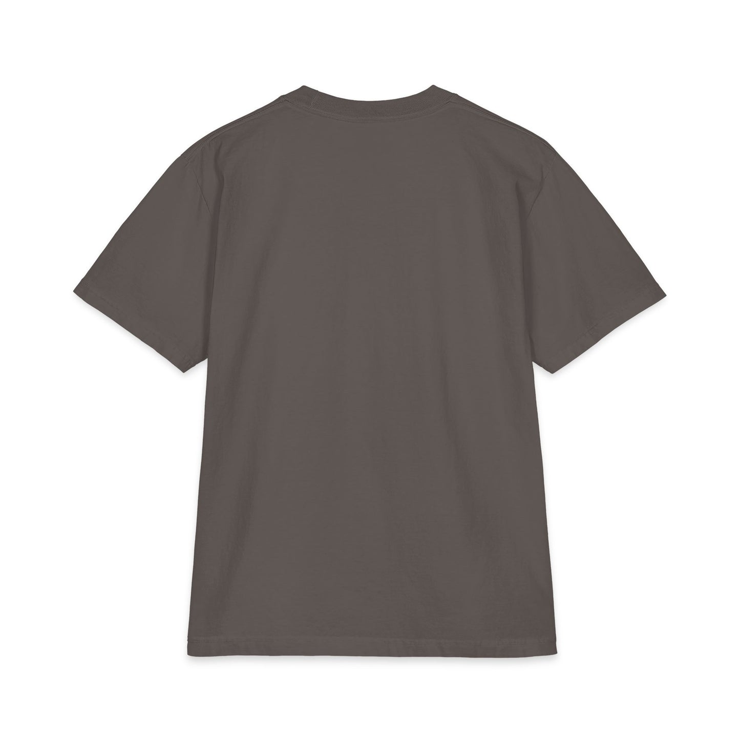 Maine Coon Portrait T‑Shirt — Realistic Cat Face Graphic Tee