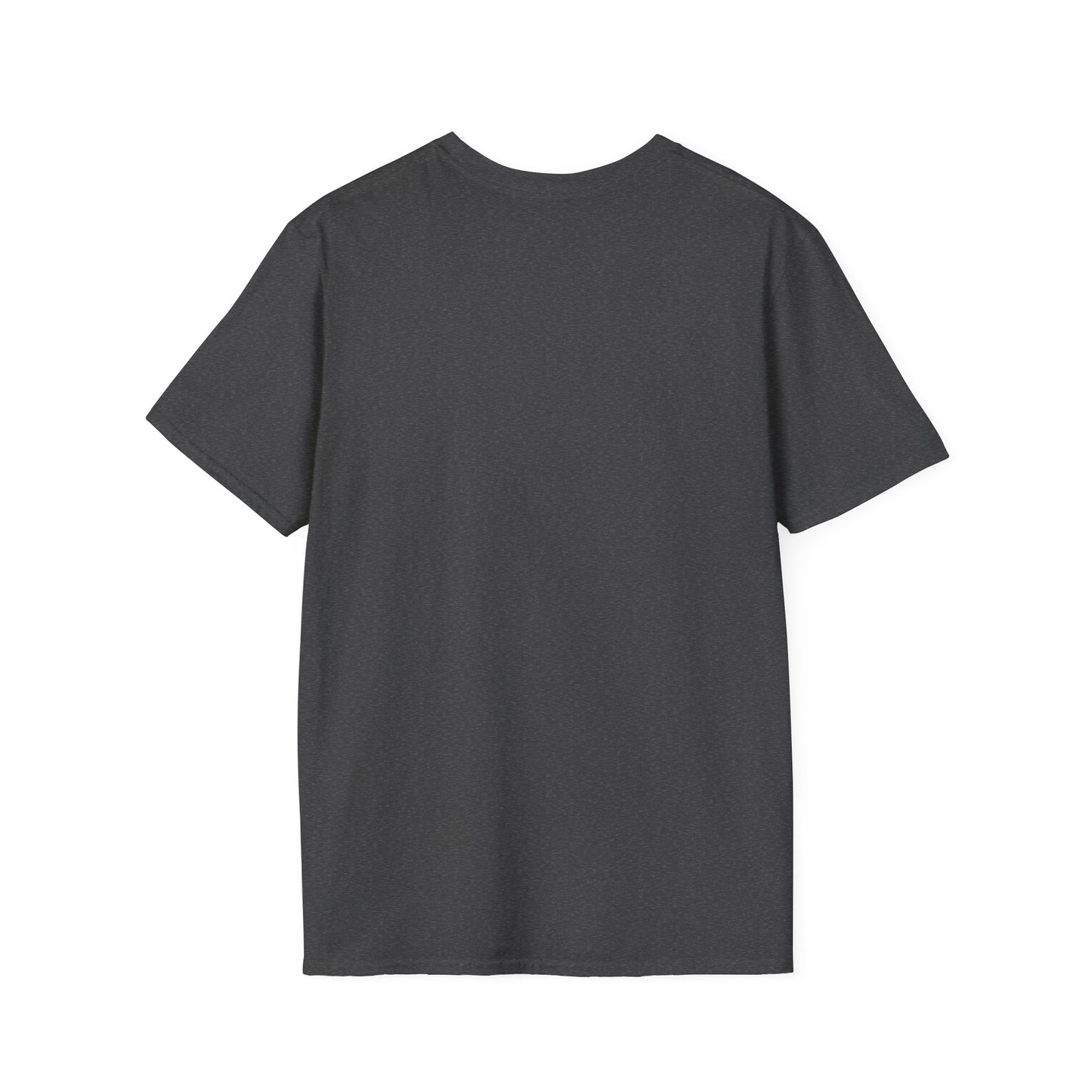 Maine Coon Cat Portrait T-Shirt — Realistic Brown Tabby Cat Tee
