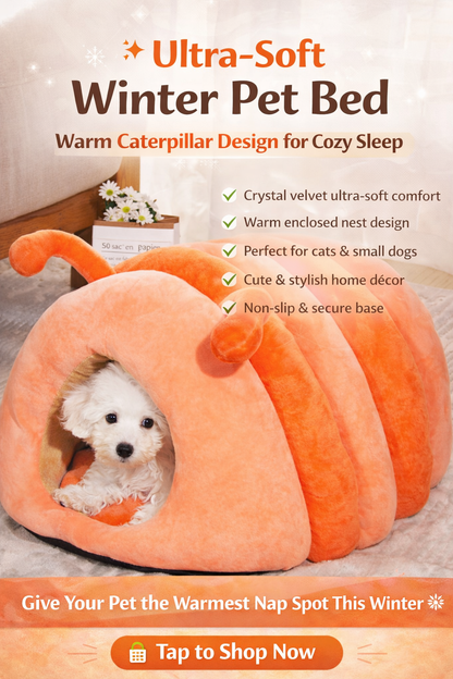 Plush Winter Pet Bed – Ultra-Soft Crystal Velvet Cat Nest, Warm Caterpillar Design Sleeping Bed (50×40×30cm)