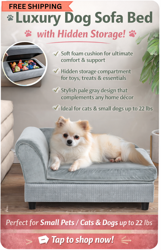 Luxury Dog Sofa Bed with Hidden Storage – Small Pet Couch with Soft Foam Cushion, Pale Gray, for Cats & Dogs up to 22 lbs
