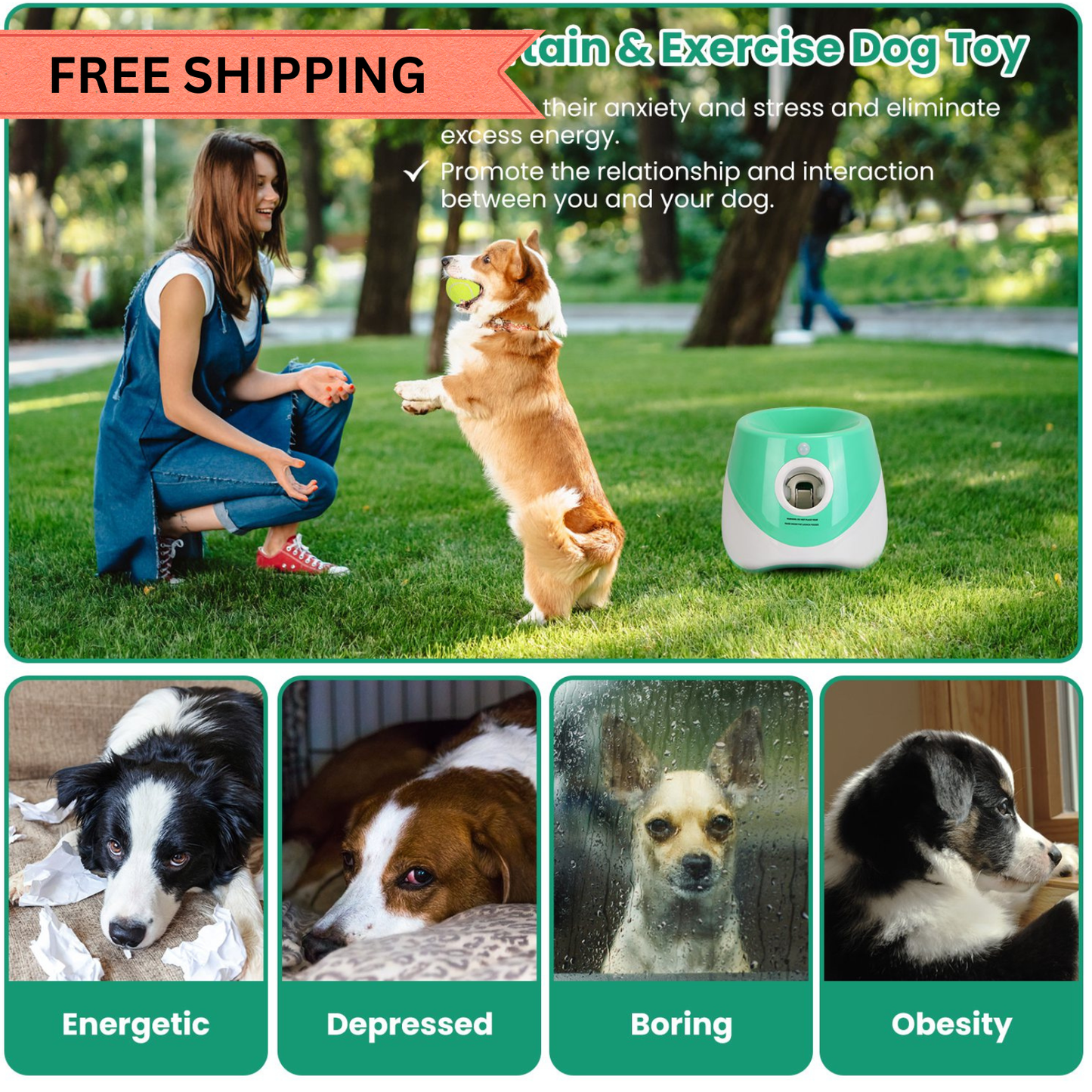 Automatic Dog Ball Launcher with 6 Tennis Balls – Rechargeable Interactive Fetch Machine with 3 Distance Settings for Small & Medium Dogs