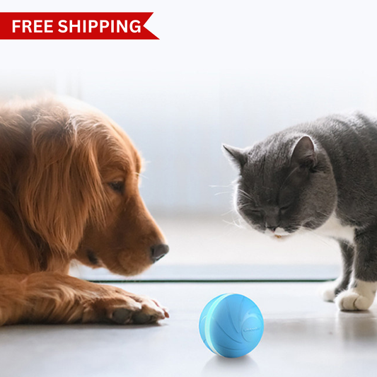 Automatic Jumping Ball Pet Toy – Interactive Fun for Dogs & Cats
