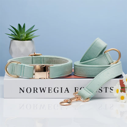 Dog Collar & Handheld Leash Set – Adjustable Walking Rope