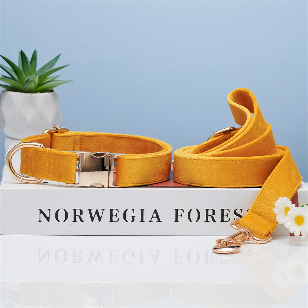 Dog Collar & Handheld Leash Set – Adjustable Walking Rope