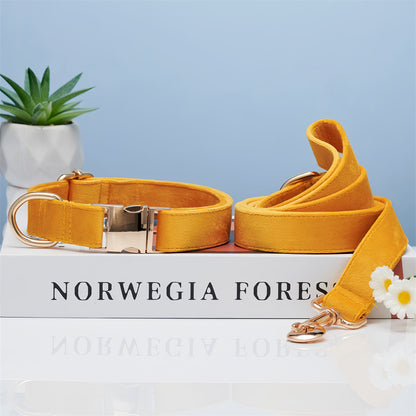 Dog Collar & Handheld Leash Set – Adjustable Walking Rope