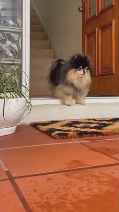 Transparent Adjustable Pet Umbrella – C-Type Handle Dog Rain Protection with Retractable Rod (70cm Diameter)