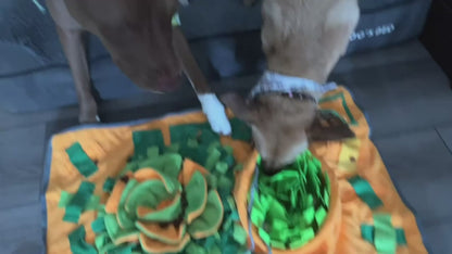 Large Snuffle Mat for Dogs – Interactive Slow Feeder & Stress Relief Training Mat